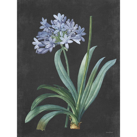 Bulb Study Black Modern Wood Framed Art Print by Lettered And Lined