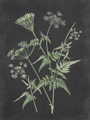 Chives Black Modern Wood Framed Art Print by Lettered and Lined