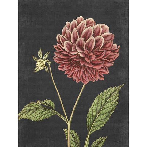 Dahlia Black Modern Wood Framed Art Print by Lettered And Lined