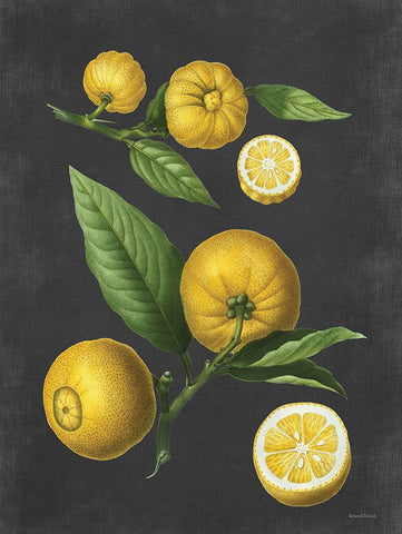 Lemon Citrus Black Modern Wood Framed Art Print by Lettered and Lined