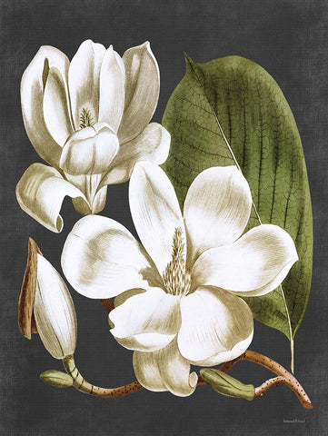 Magnolia White Modern Wood Framed Art Print with Double Matting by Lettered and Lined