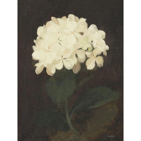 Vintage White Hydrangea Black Modern Wood Framed Art Print with Double Matting by Lettered And Lined