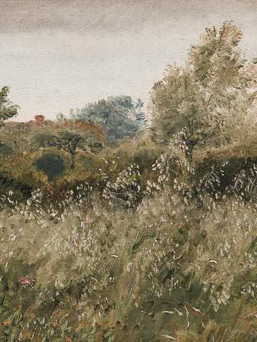 Flowers in the Field II Black Ornate Wood Framed Art Print with Double Matting by lettered And lined