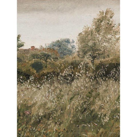 Flowers in the Field II White Modern Wood Framed Art Print by lettered And lined