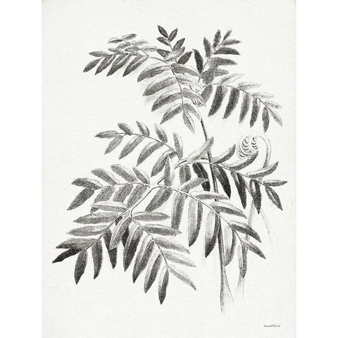 Leaf Illustration I White Modern Wood Framed Art Print by Lettered And Lined