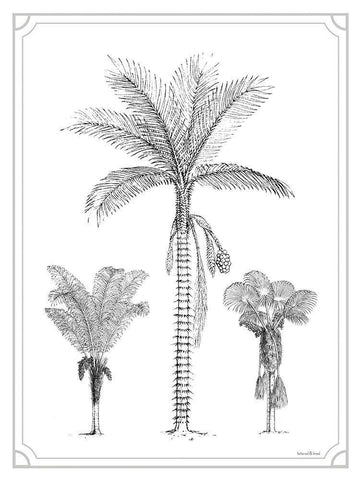 Palm Trio Black Ornate Wood Framed Art Print with Double Matting by Lettered And Lined