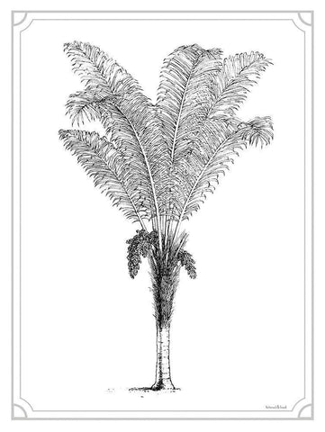 Timeless Palm Black Ornate Wood Framed Art Print with Double Matting by Lettered And Lined