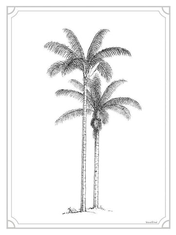 Timeless Palms White Modern Wood Framed Art Print with Double Matting by Lettered And Lined