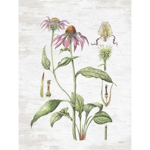 Quiet Meadow Botanical White Modern Wood Framed Art Print by Lettered and Lined