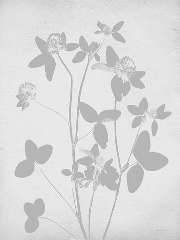 Retreat Botanical 1 Black Ornate Wood Framed Art Print with Double Matting by Lettered and Lined