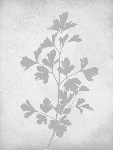 Retreat Botanical 9 Black Ornate Wood Framed Art Print with Double Matting by Lettered and Lined