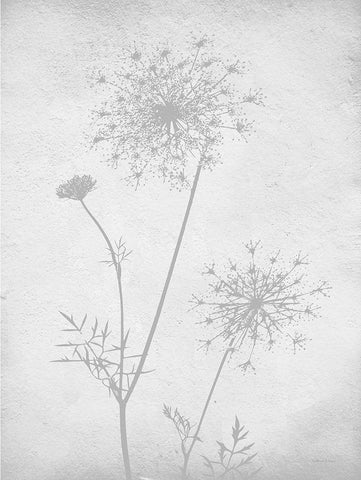 Retreat Botanical 11 Black Ornate Wood Framed Art Print with Double Matting by Lettered and Lined