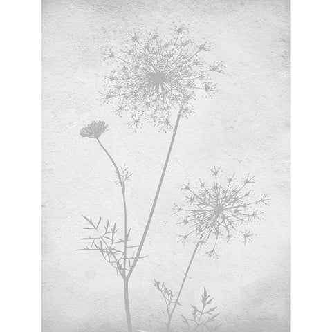 Retreat Botanical 11 Black Modern Wood Framed Art Print with Double Matting by Lettered and Lined