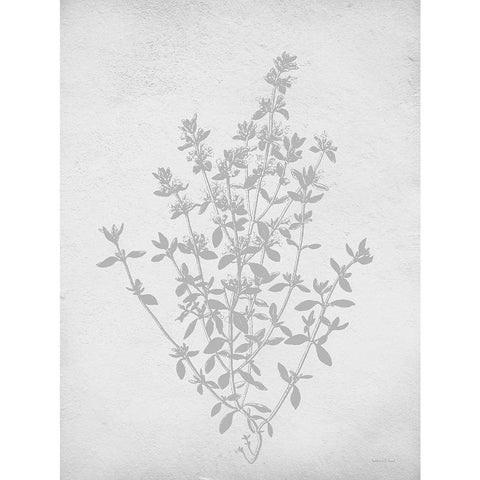 Retreat Botanical 16 Gold Ornate Wood Framed Art Print with Double Matting by Lettered and Lined