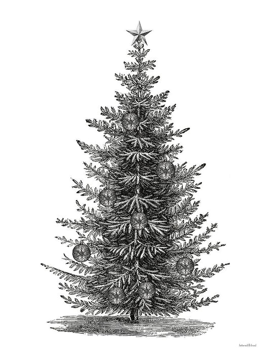 Image Only