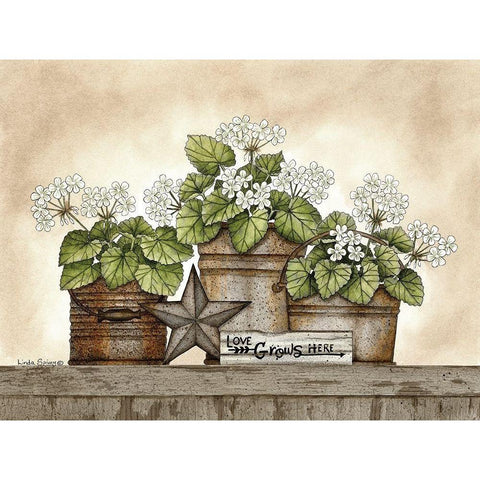 Love Grows Here Geraniums White Modern Wood Framed Art Print by Spivey, Linda