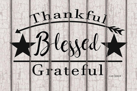 Blessed Thankful Grateful    White Modern Wood Framed Art Print with Double Matting by Spivey, Linda