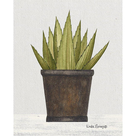 Potted Aloe Vera Gold Ornate Wood Framed Art Print with Double Matting by Spivey, Linda