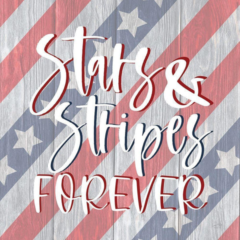 Stars and Stripes Forever I Black Ornate Wood Framed Art Print with Double Matting by Lux + Me Prints