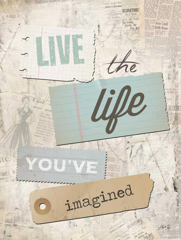 Live the Life Youve Imagined White Modern Wood Framed Art Print with Double Matting by Rae, Marla