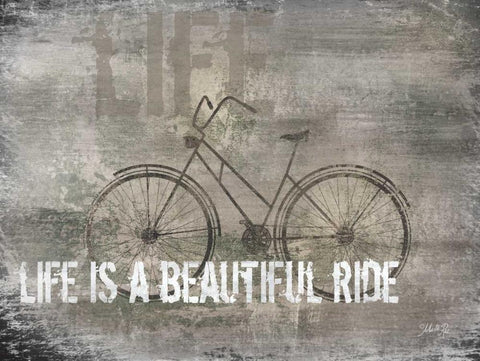 Life is a Beautiful Ride White Modern Wood Framed Art Print with Double Matting by Rae, Marla