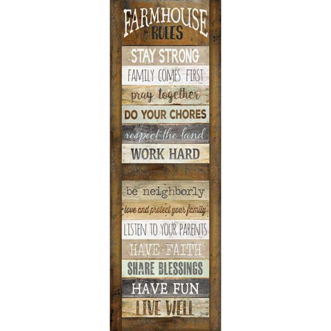 Farmhouse Rules Shutter Black Modern Wood Framed Art Print with Double Matting by Rae, Marla