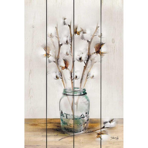 Cotton Stems White Modern Wood Framed Art Print by Rae, Marla