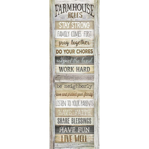 Farmhouse Rules Black Modern Wood Framed Art Print with Double Matting by Rae, Marla