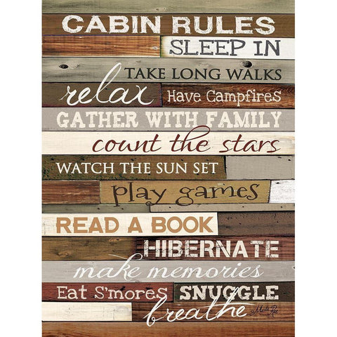 Cabin Rules Black Modern Wood Framed Art Print with Double Matting by Rae, Marla