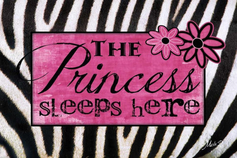 Princess Sleeps Here White Modern Wood Framed Art Print with Double Matting by Rae, Marla