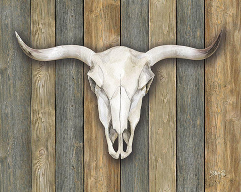 Cow Skull II Black Ornate Wood Framed Art Print with Double Matting by Rae, Marla