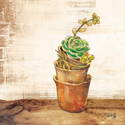 Succulents in a Pot White Modern Wood Framed Art Print by Rae, Marla