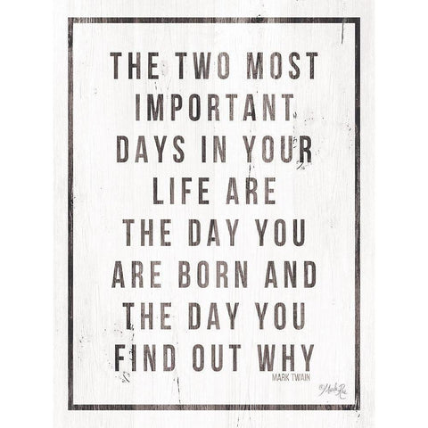 Two Most Important Days White Modern Wood Framed Art Print by Rae, Marla