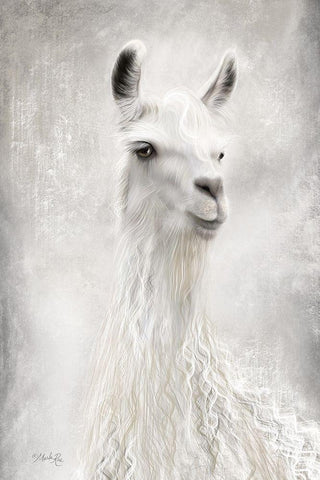 Lulu the Llama Up Close White Modern Wood Framed Art Print with Double Matting by Rae, Marla