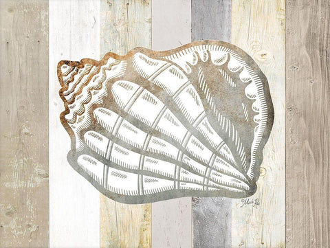 Coastal Shell I White Modern Wood Framed Art Print with Double Matting by Rae, Marla