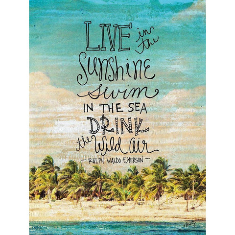 Live in the Sunshine Black Modern Wood Framed Art Print with Double Matting by Michelle, Misty