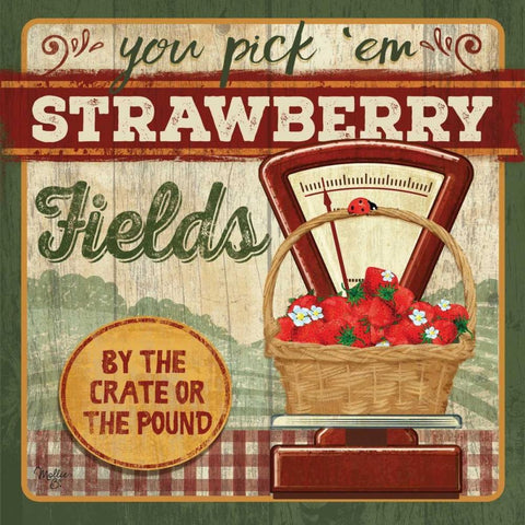 You Pick Em Strawberries White Modern Wood Framed Art Print with Double Matting by Mollie B.