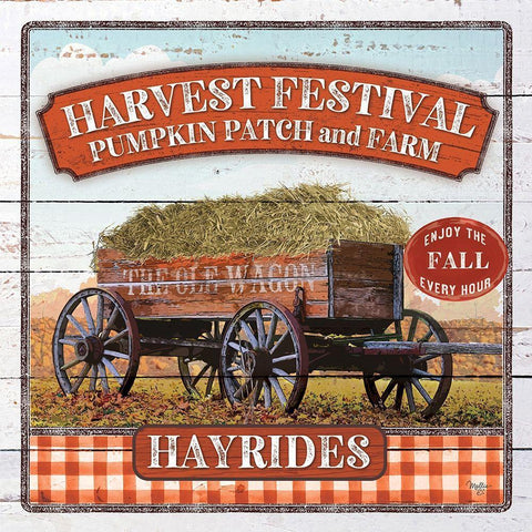 Harvest Festival White Modern Wood Framed Art Print with Double Matting by Mollie B.