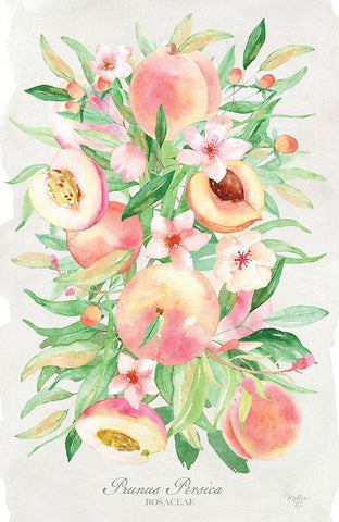 Peach Bouquet Black Ornate Wood Framed Art Print with Double Matting by Mollie B.