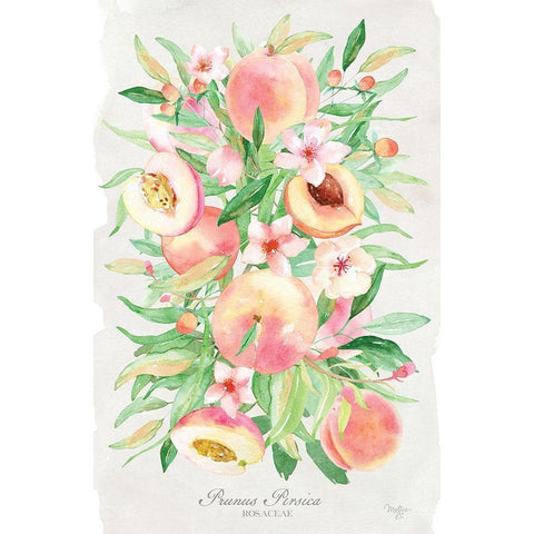 Peach Bouquet White Modern Wood Framed Art Print by Mollie B.