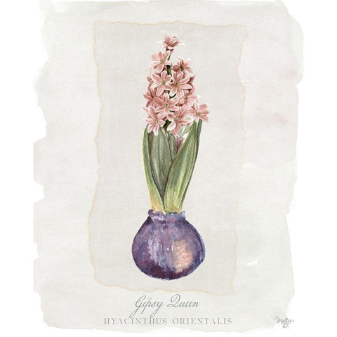Hyacinthus Orientalis II Gold Ornate Wood Framed Art Print with Double Matting by Mollie B.