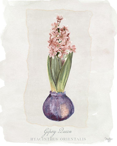 Hyacinthus Orientalis II White Modern Wood Framed Art Print with Double Matting by Mollie B.
