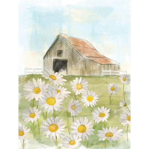 Field of Daisies Gold Ornate Wood Framed Art Print with Double Matting by Mollie B.