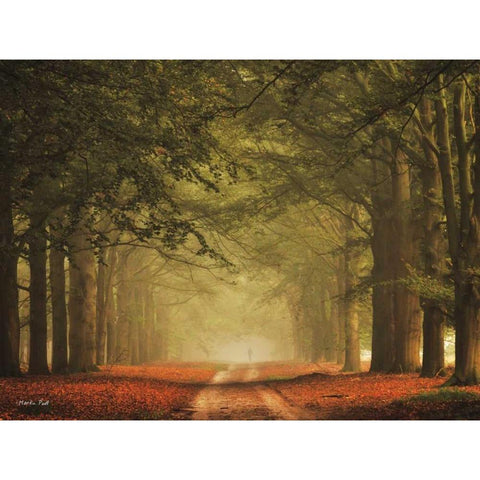 Misty Walk Gold Ornate Wood Framed Art Print with Double Matting by Podt, Martin