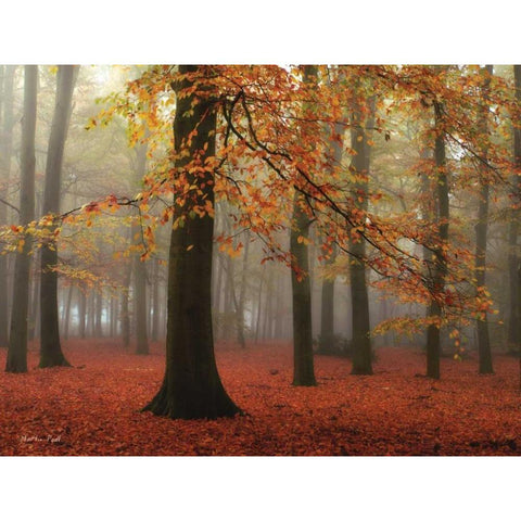 Miss Misty Black Modern Wood Framed Art Print by Podt, Martin