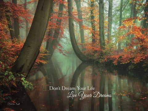 Live Your Dream Black Ornate Wood Framed Art Print with Double Matting by Podt, Martin