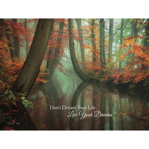 Live Your Dream Black Modern Wood Framed Art Print by Podt, Martin