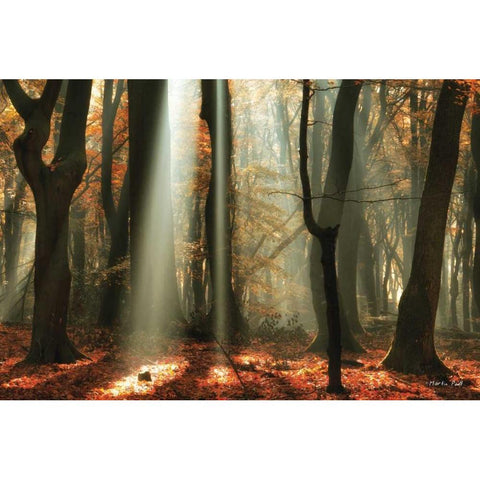 Beam Me Up Black Modern Wood Framed Art Print with Double Matting by Podt, Martin