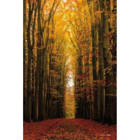 Highway to Heaven Black Modern Wood Framed Art Print by Podt, Martin
