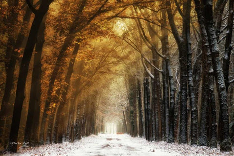 Autumn to Winter Black Ornate Wood Framed Art Print with Double Matting by Podt, Martin